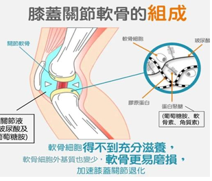 關勇力 葡萄糖胺凝膠 升級版 120ml【SA073】