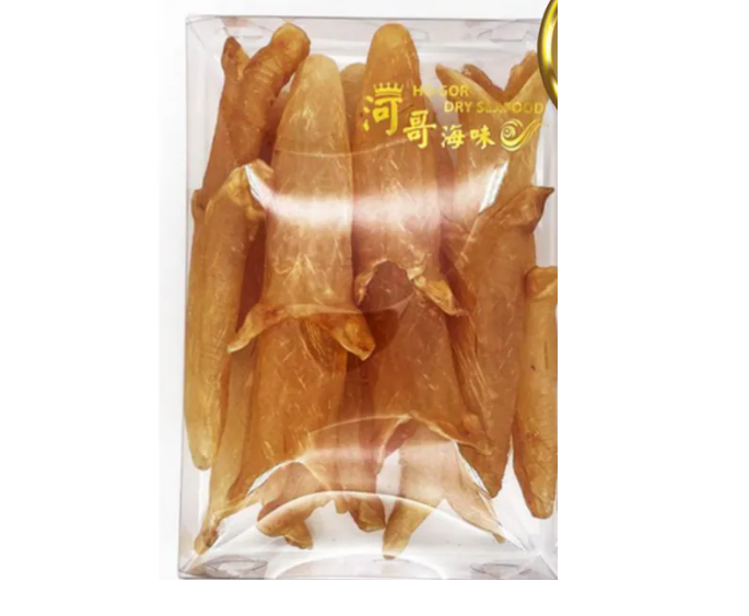 南非烏干達厚花膠筒 18-21隻【SE032】
