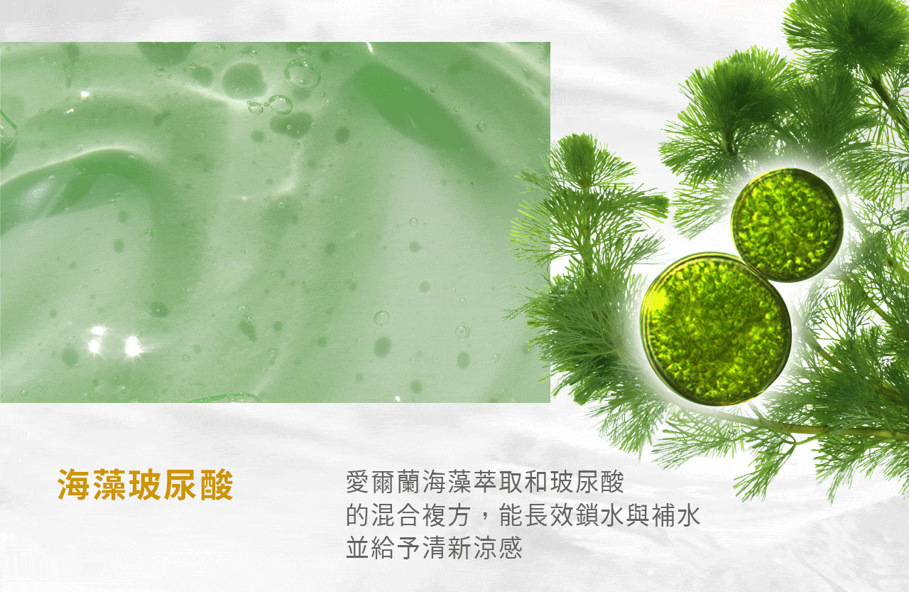 台灣 文森先生 淼淼流金霜 50ml【SA061】