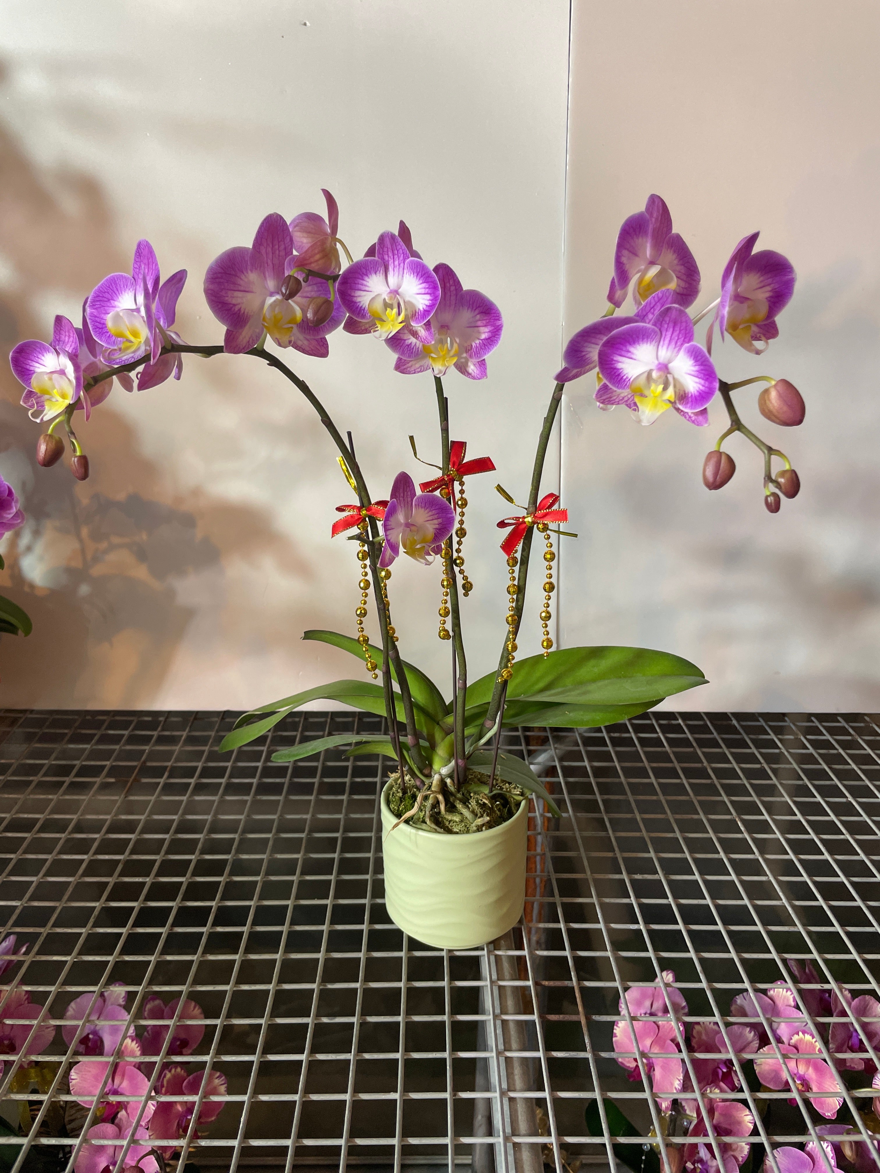 馬年賀年花【HB004】