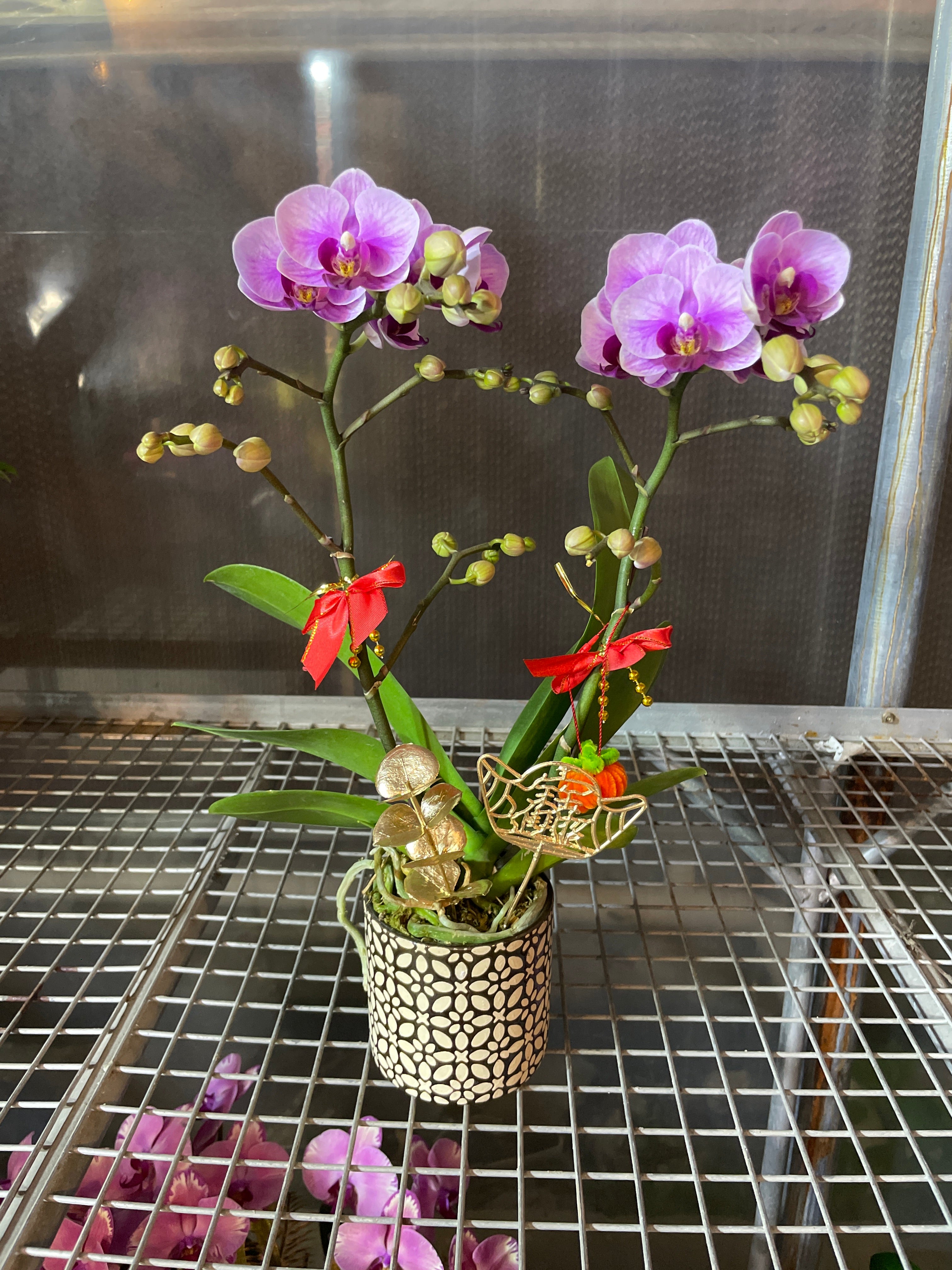 馬年賀年花【HB008】