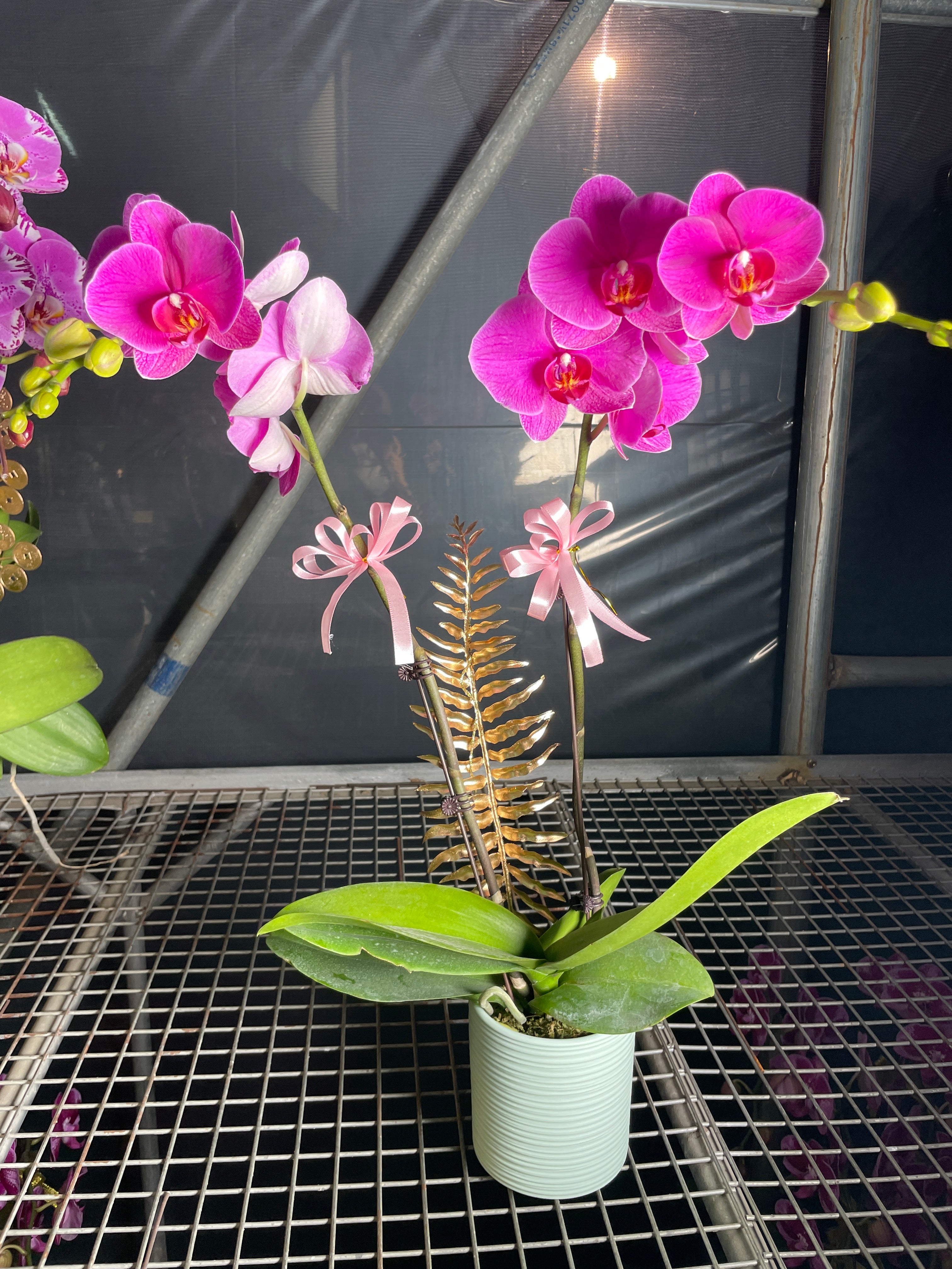 馬年賀年花【HB009】