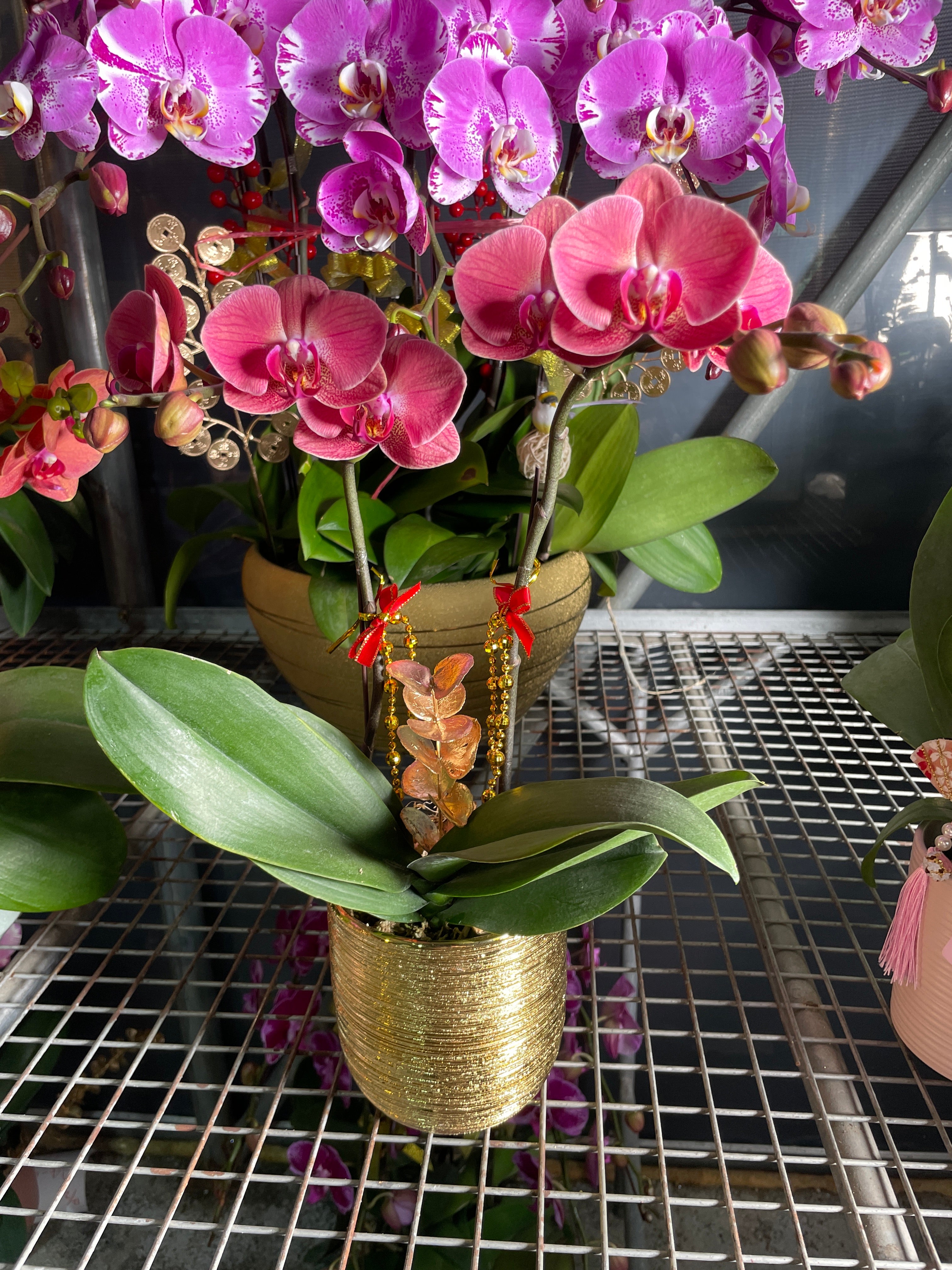 馬年賀年花【HB015】