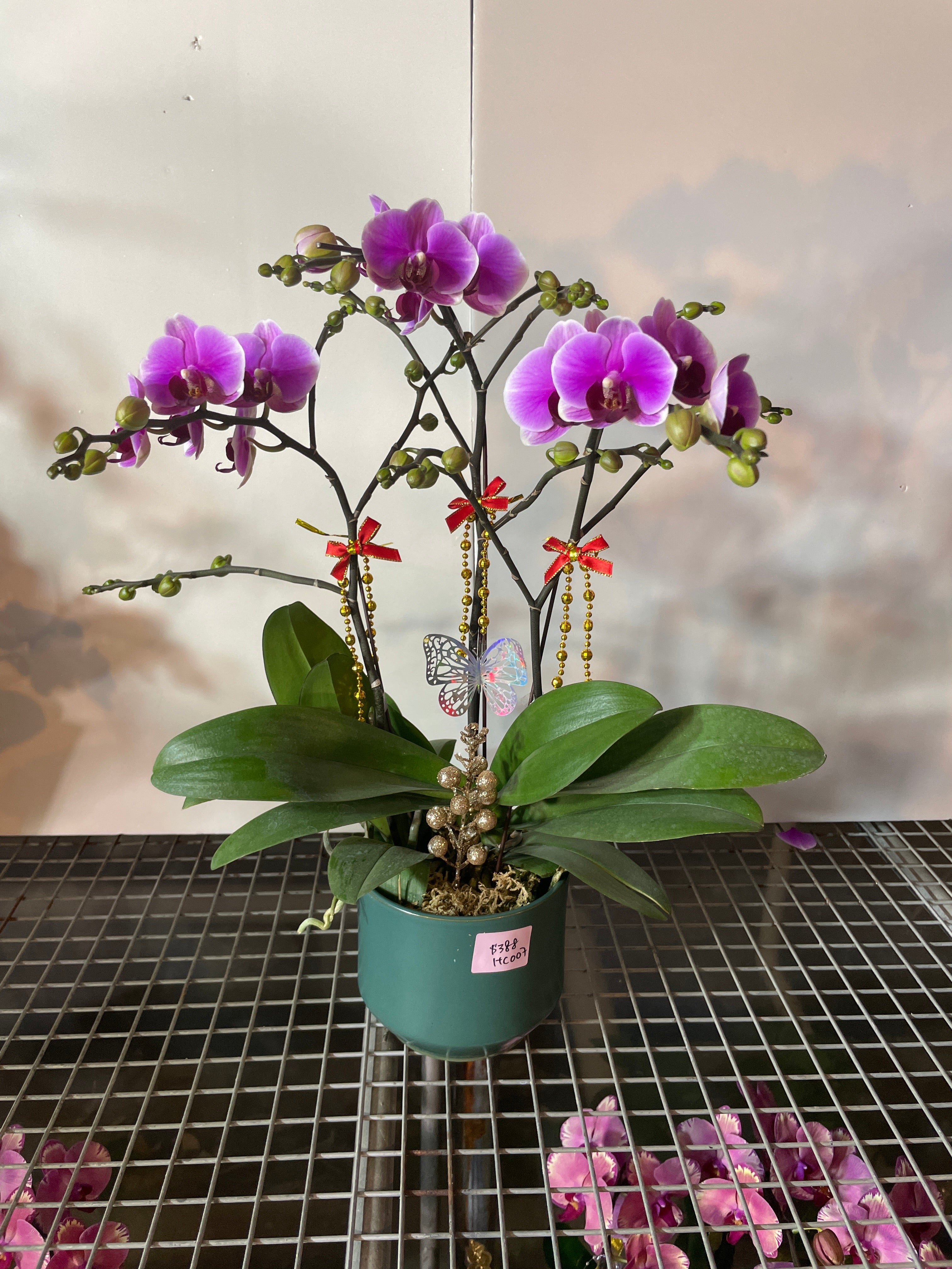 馬年賀年花【HC007】