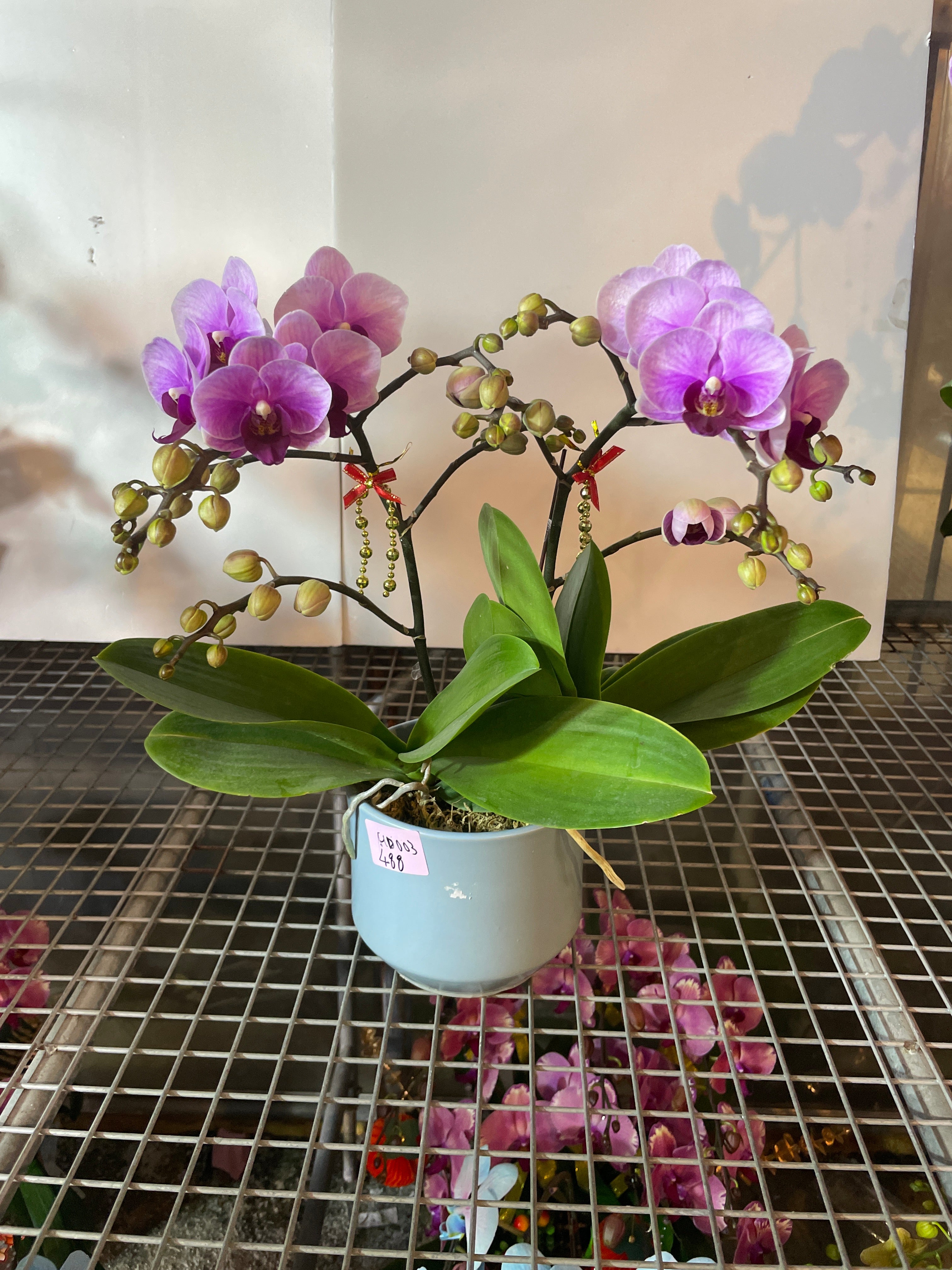 馬年賀年花【HD003】