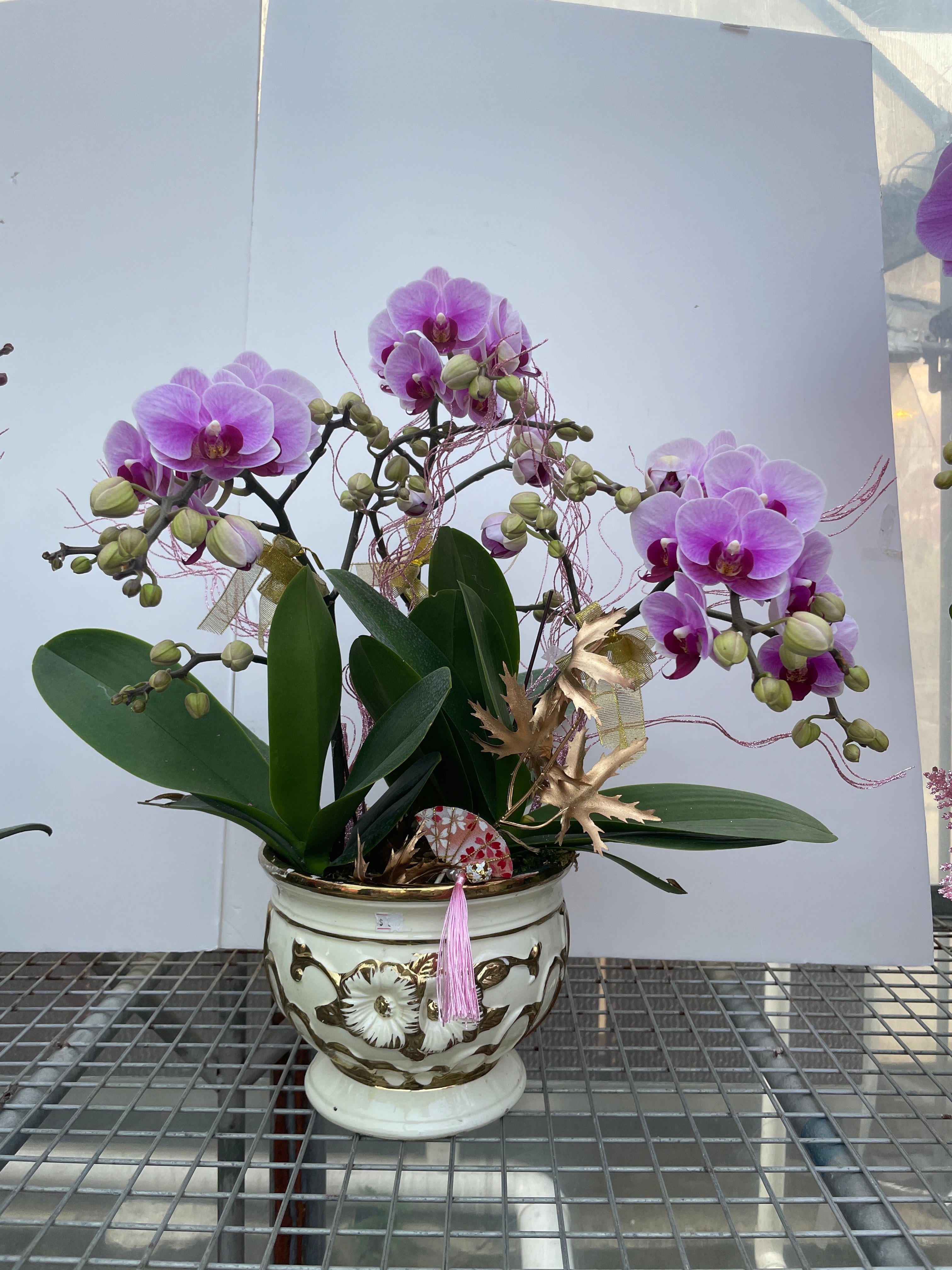 馬年賀年花【HE005】