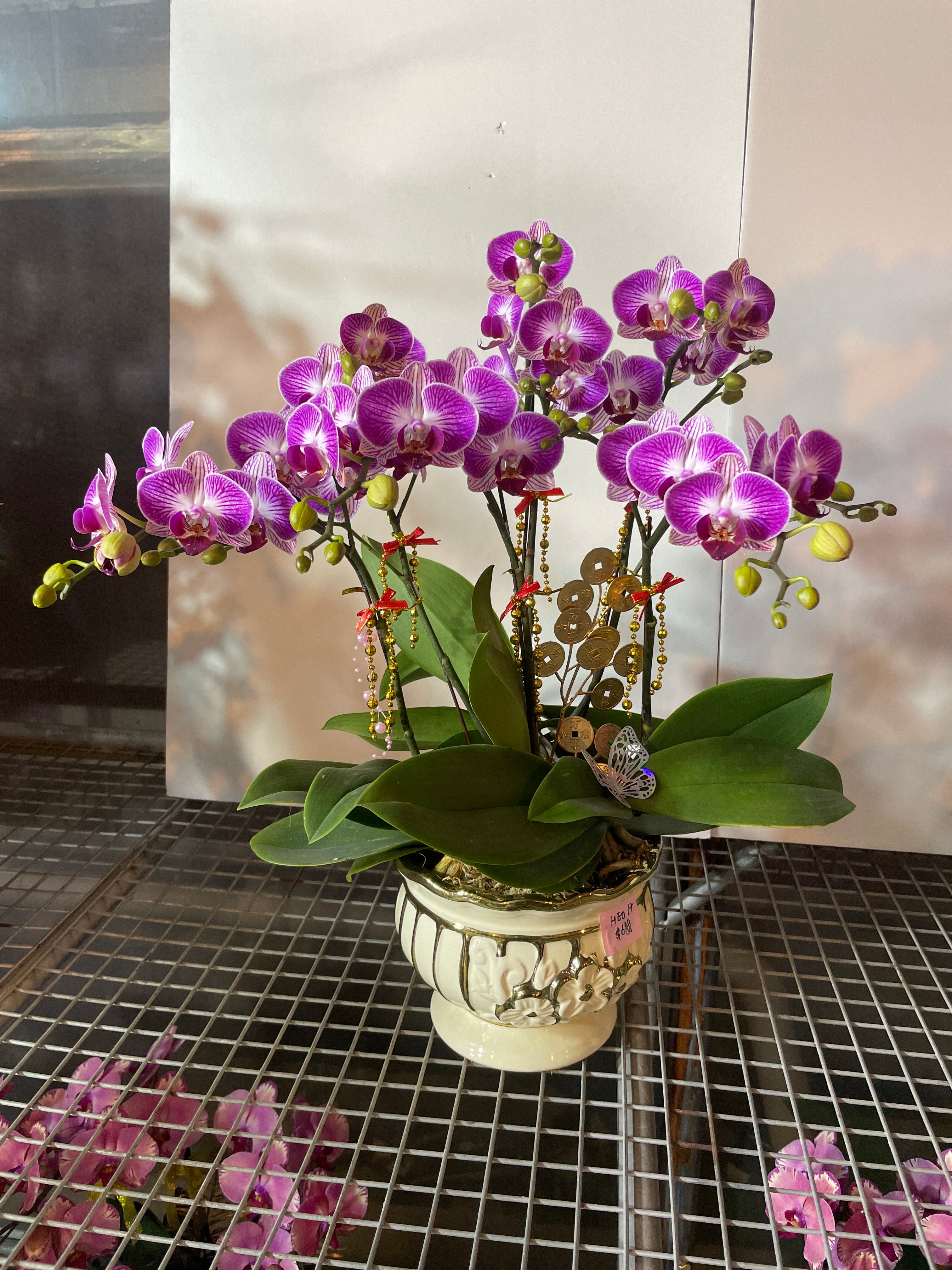 馬年賀年花【HE017】