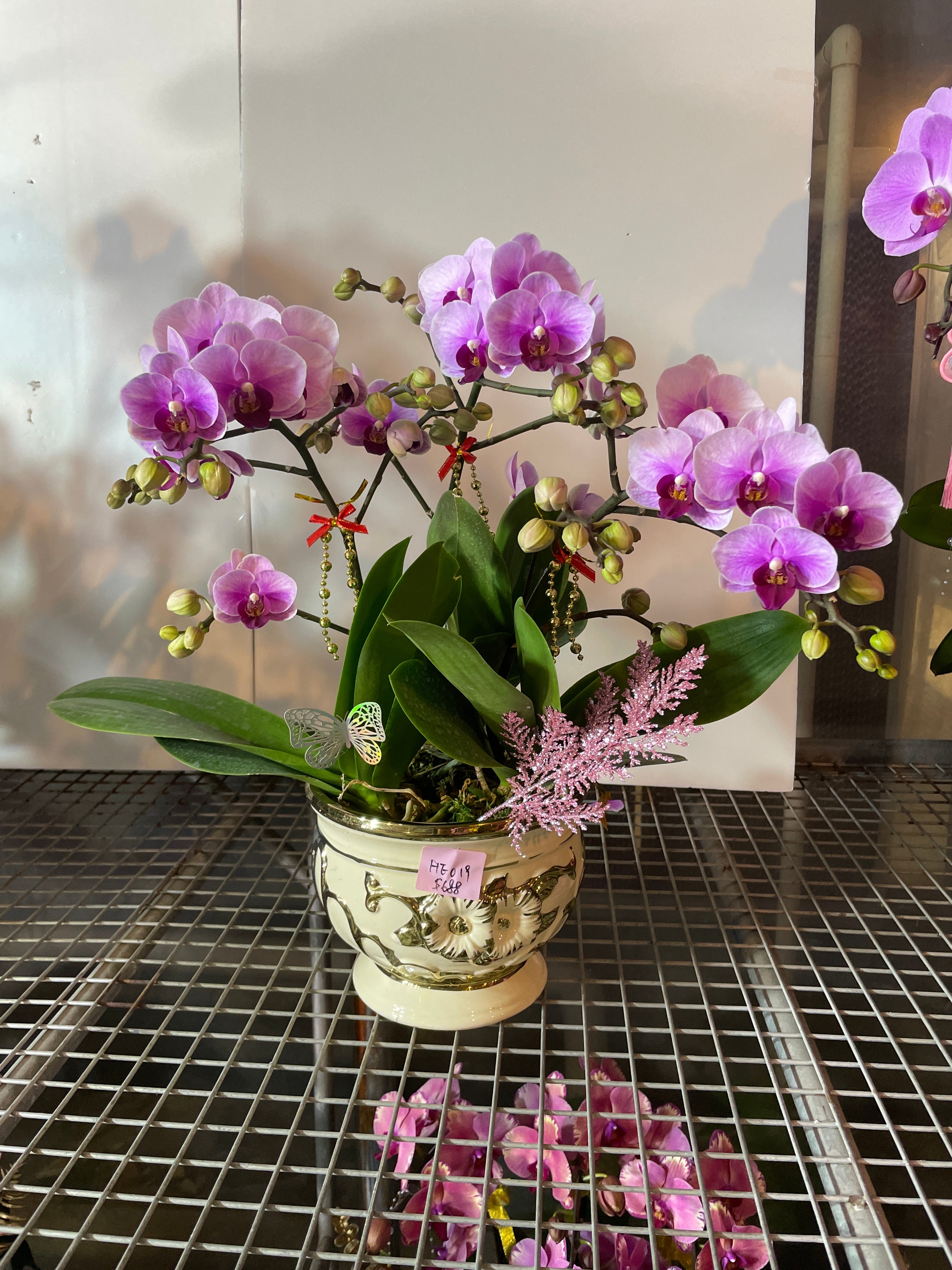 馬年賀年花【HE019】