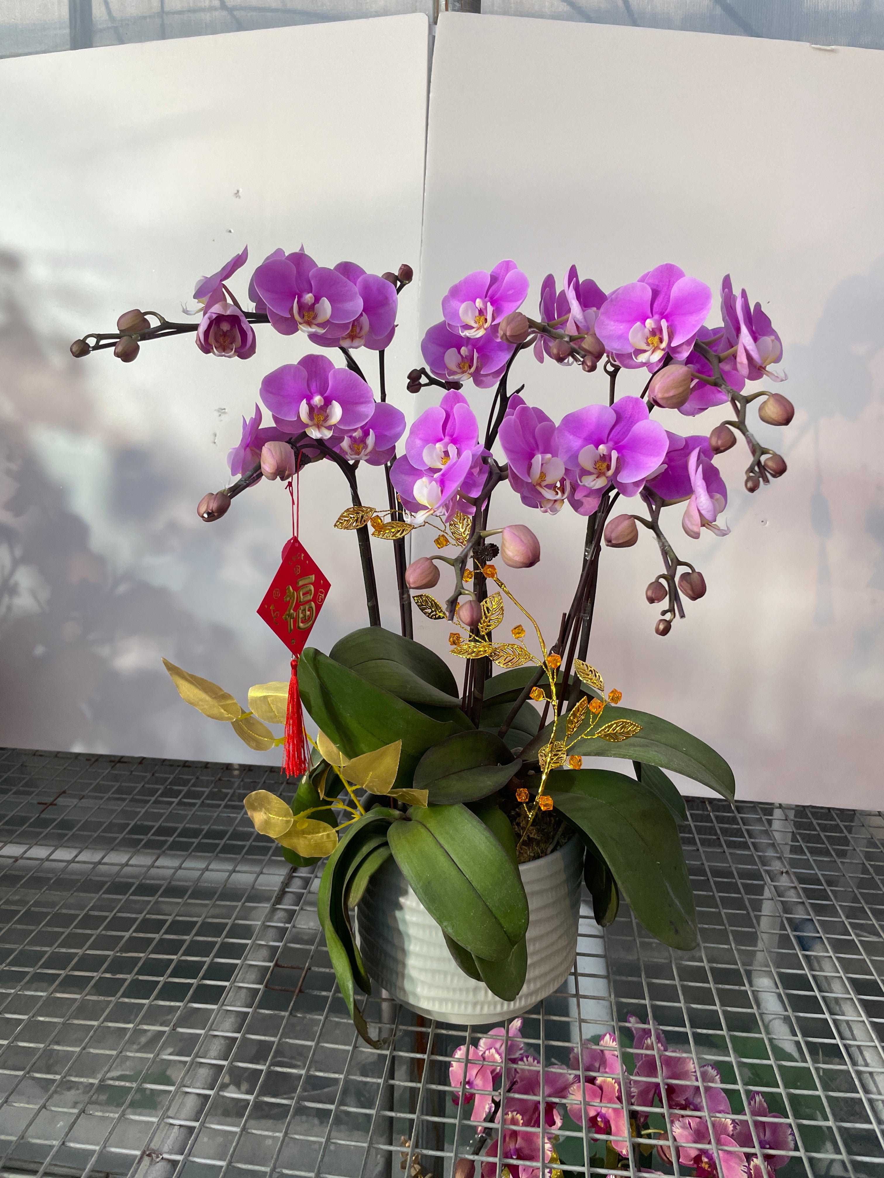 馬年賀年花【HF004】