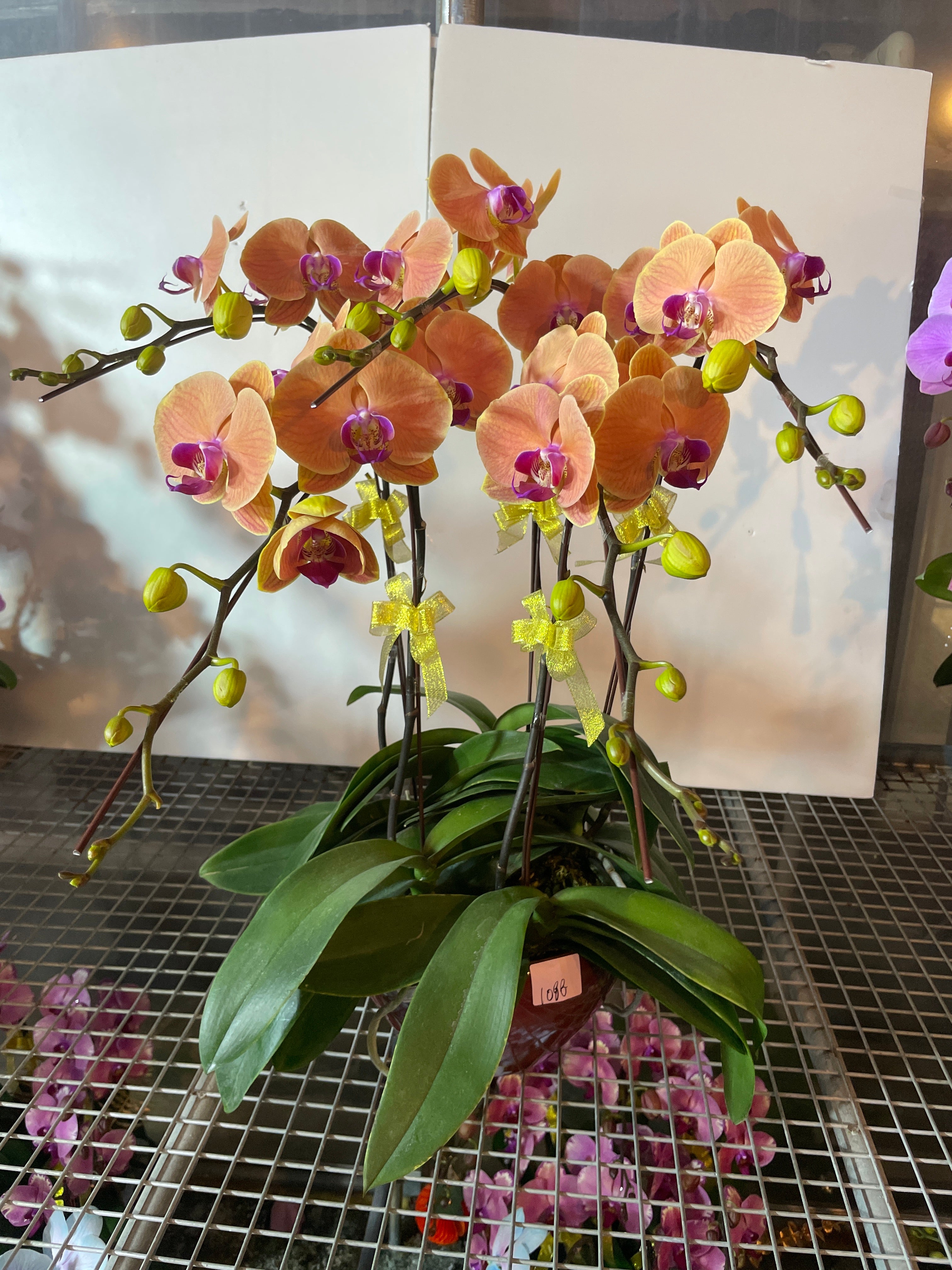 馬年賀年花【HH007】