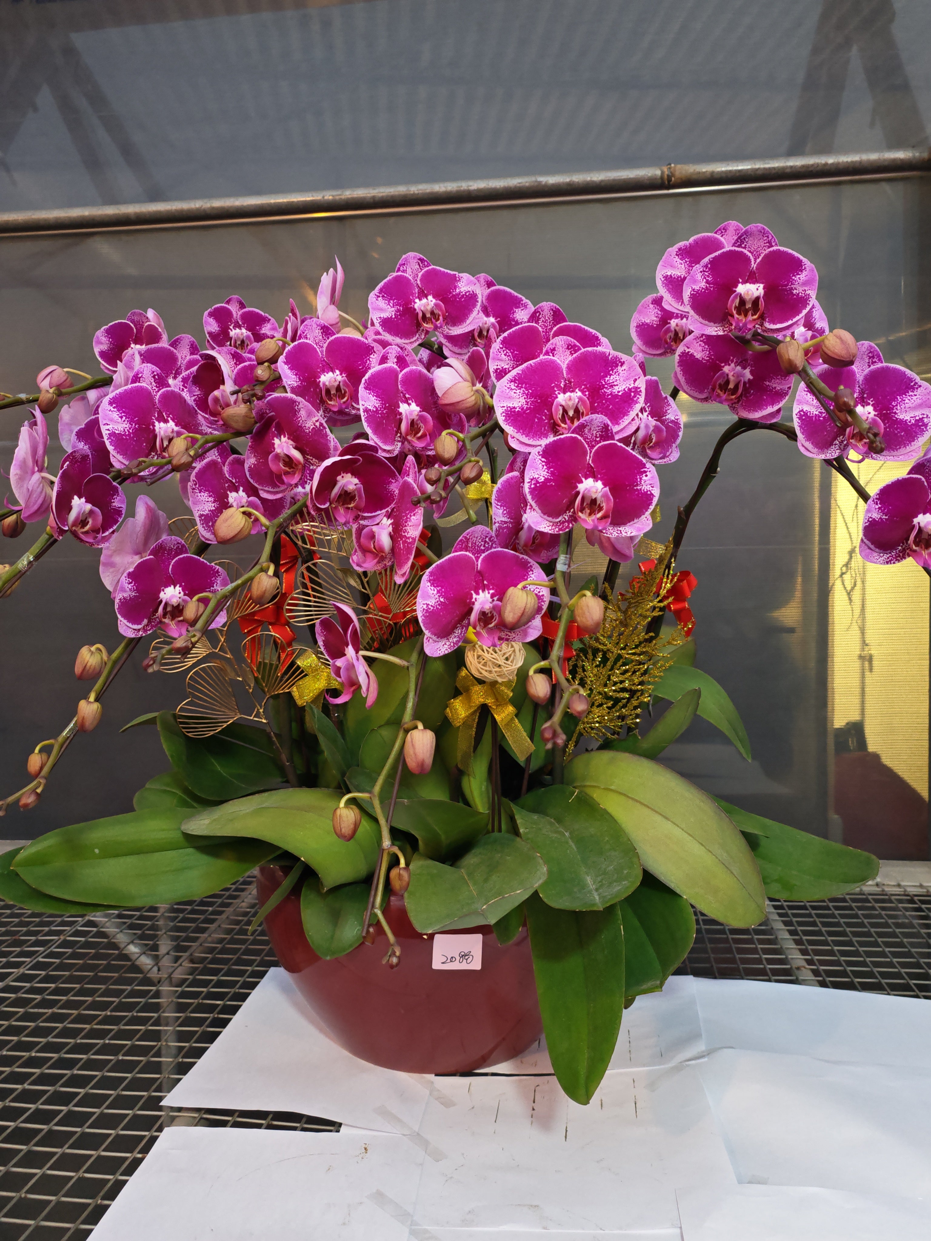 馬年賀年花【HN001】