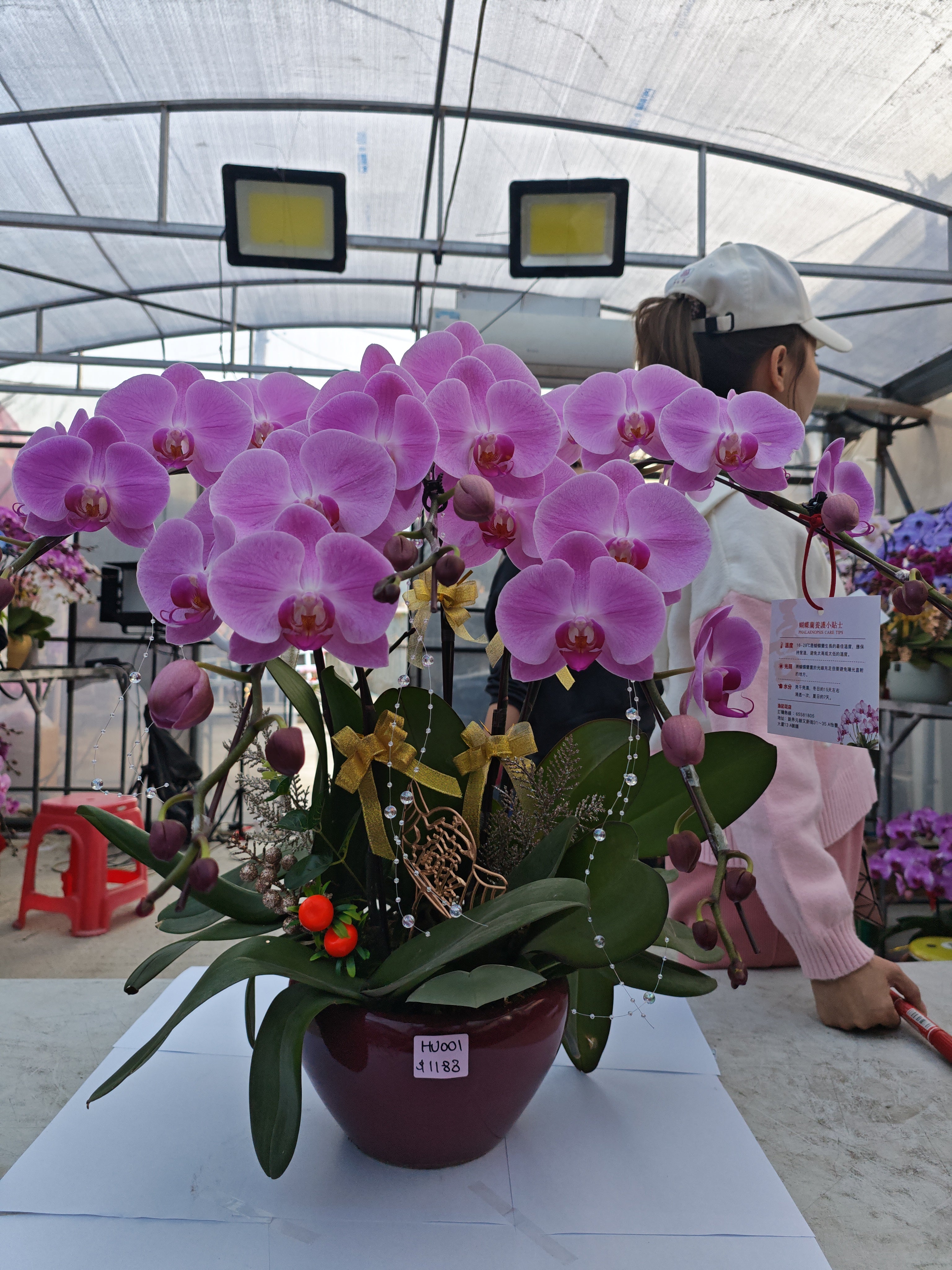 馬年賀年花【HU001】