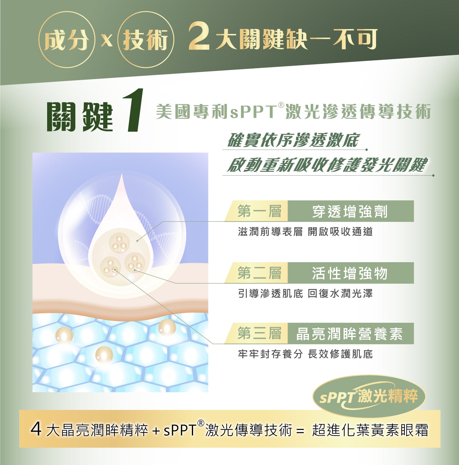 全能葉黃素眼霜 (水汪汪) 16ml【KX113】