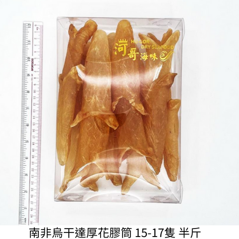 南非烏干達厚花膠筒 15-17隻【SE031】