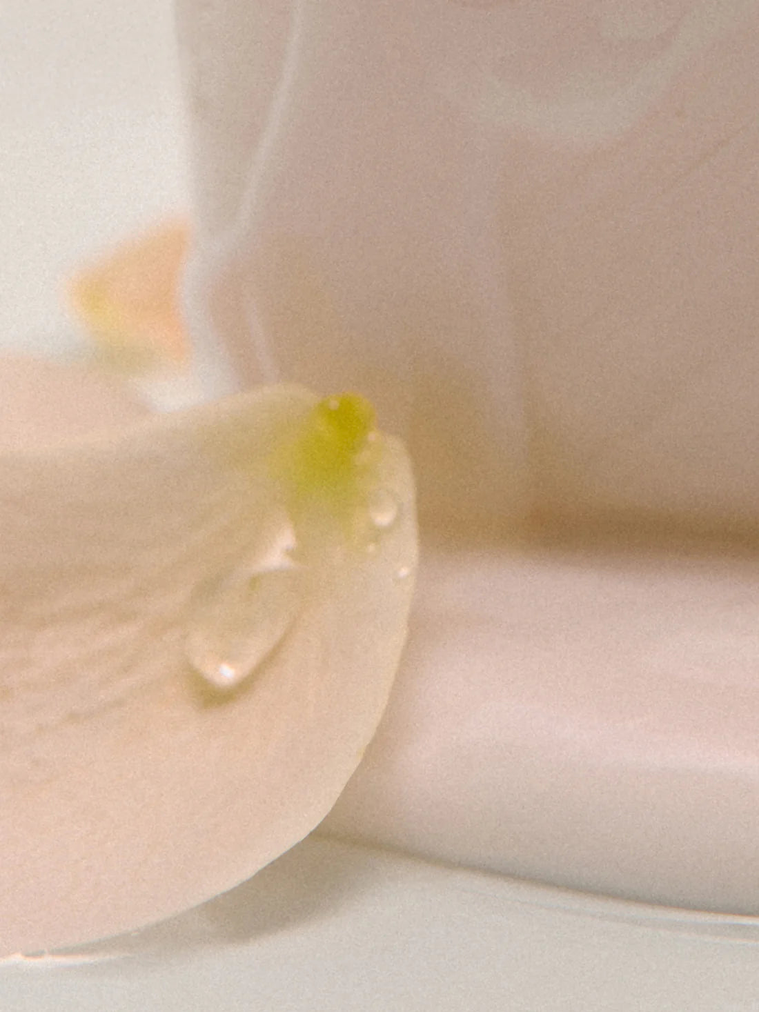 Aromatica 優雅香水身體乳液 玫瑰和天竺葵味 300ml【SM536】