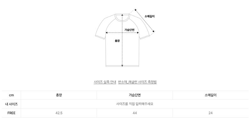 韓國 Video Jockey Outline Ribbon Raglan Crop T-Shirt【VJ071】