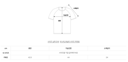 韓國 Video Jockey Outline Ribbon Raglan Crop T-Shirt【VJ071】