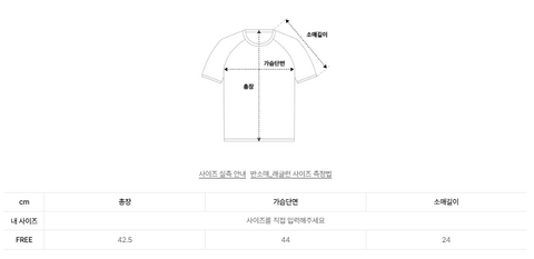 韓國 Video Jockey Outline Ribbon Raglan Crop T-Shirt【VJ071】