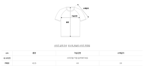 韓國 Video Jockey Love Jockey Raglan Crop T-Shirt【VJ070】