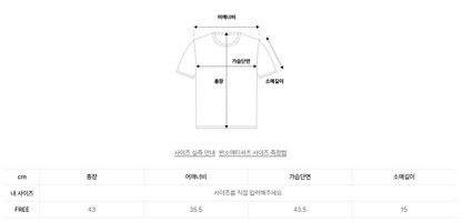 韓國 Video Jockey Small Ribbon Crop T-Shirt【VJ068】