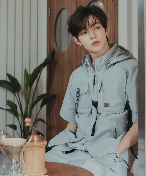 韓國 BBC Layered Short Sleeve Jacket【BC048】