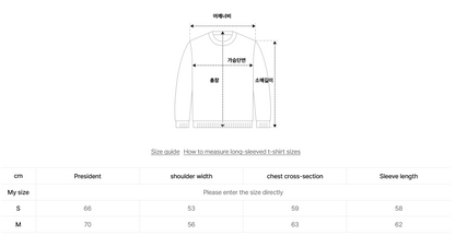 韓國 Ambler Angel Of The Stars Applique Sweatshirt【AR003】