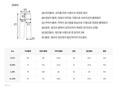 韓國 WhoAU Steve Wide Pants (Brushed)【WA049】