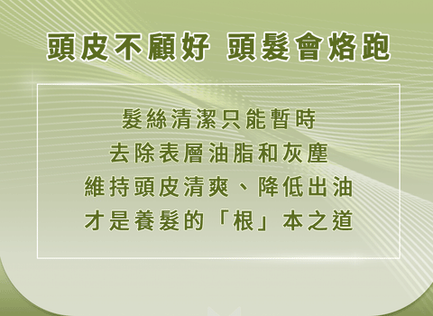 台灣 文森先生 硬著頭皮養護噴霧 100ml【SA063】