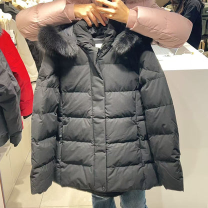 韓國 Eider SCARLETT Women&