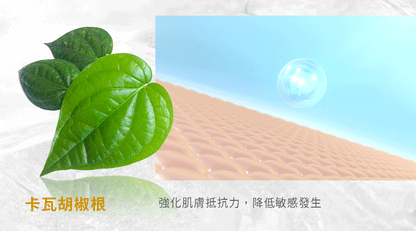 台灣 文森先生 淼淼流金霜 50ml【SA061】