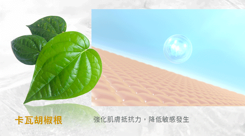 台灣 文森先生 淼淼流金霜 50ml【SA061】