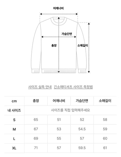韓國 Wacky Willy Big Lily Graphic Pullover Knit【WW074】