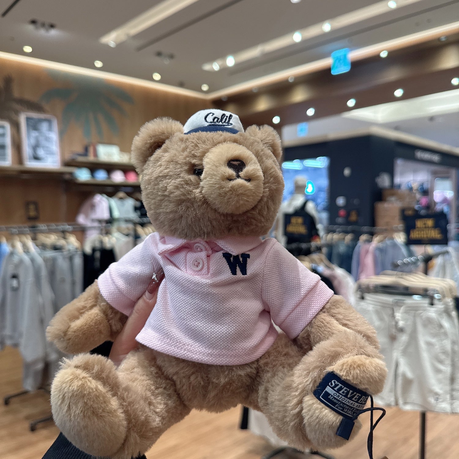 韓國 Who.A.U Signature Steve Bear【WA132】