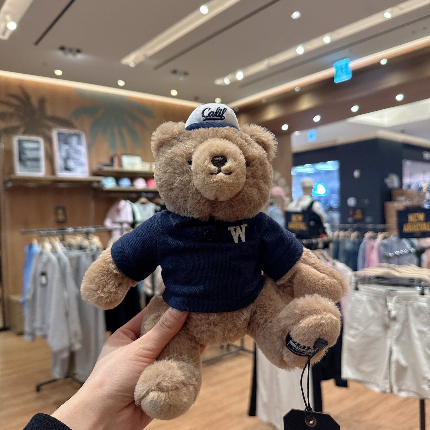 韓國 Who.A.U Signature Steve Bear【WA132】
