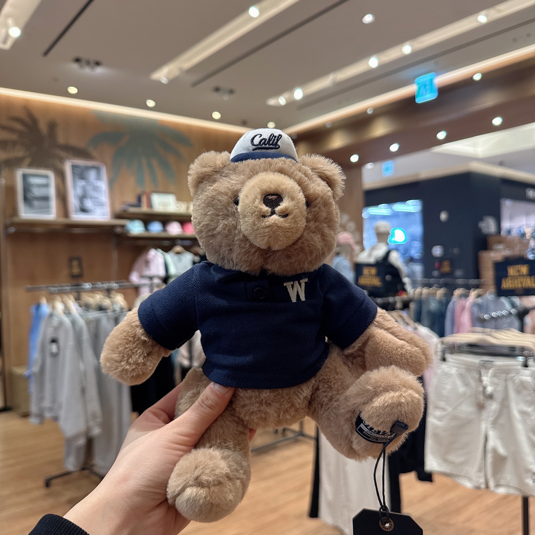 韓國 Who.A.U Signature Steve Bear【WA132】