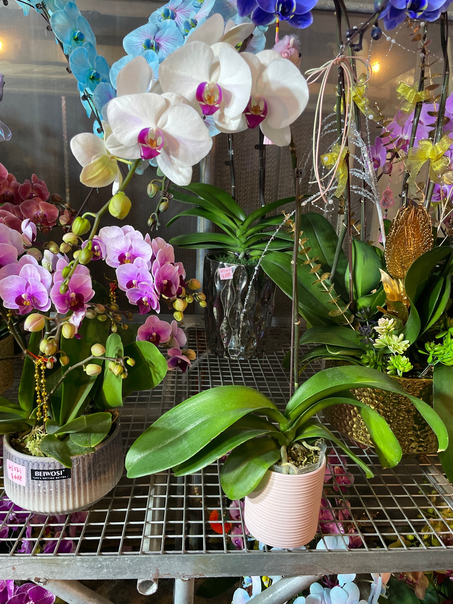 馬年賀年花【HA005】