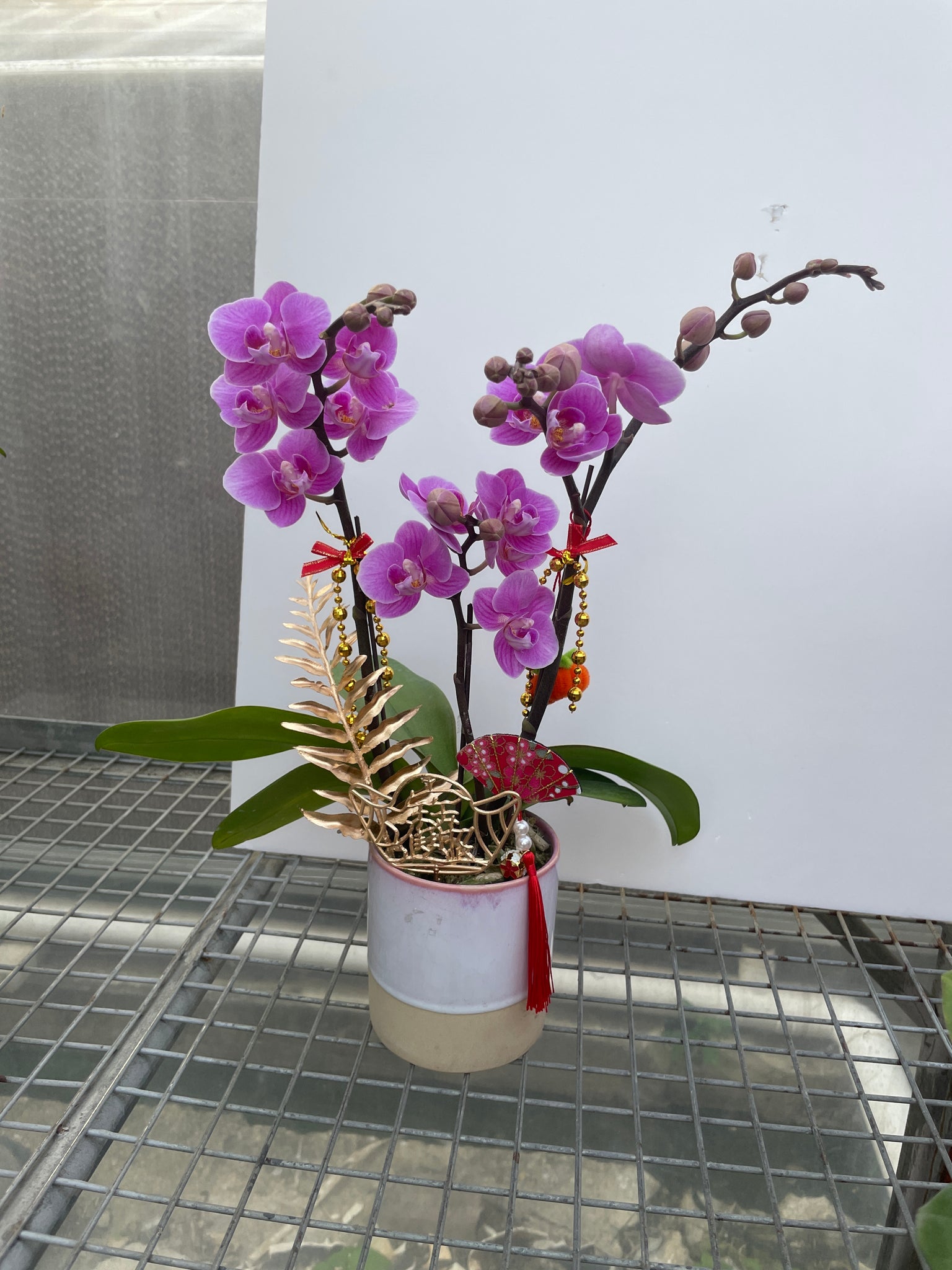 馬年賀年花【HB001】