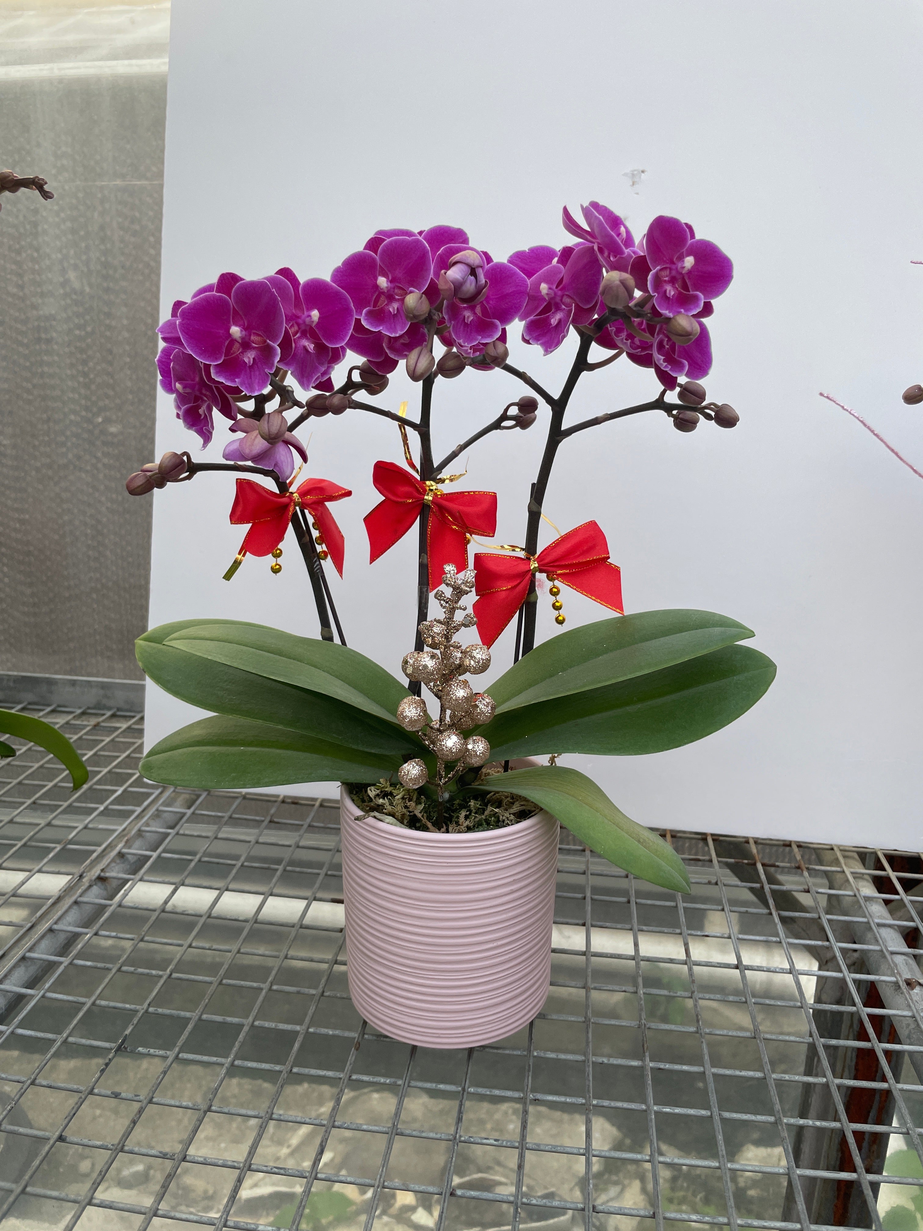 馬年賀年花【HB002】