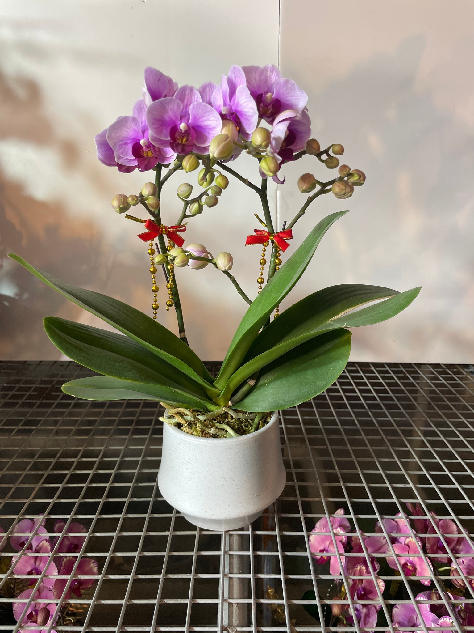 馬年賀年花【HB003】