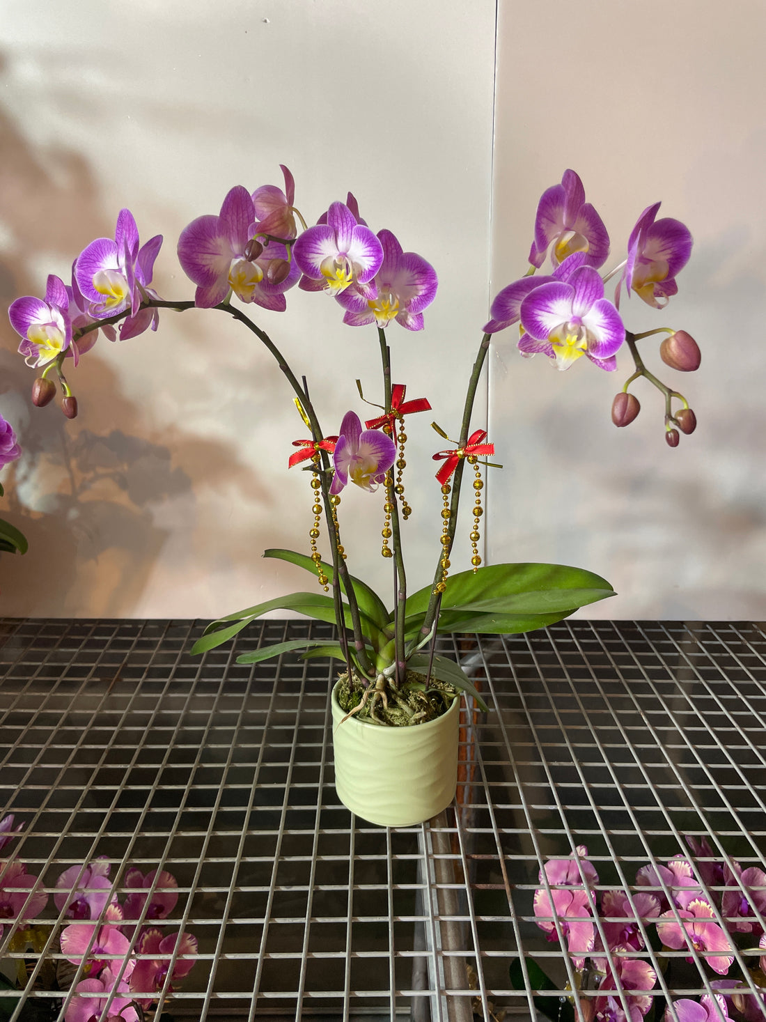 馬年賀年花【HB004】