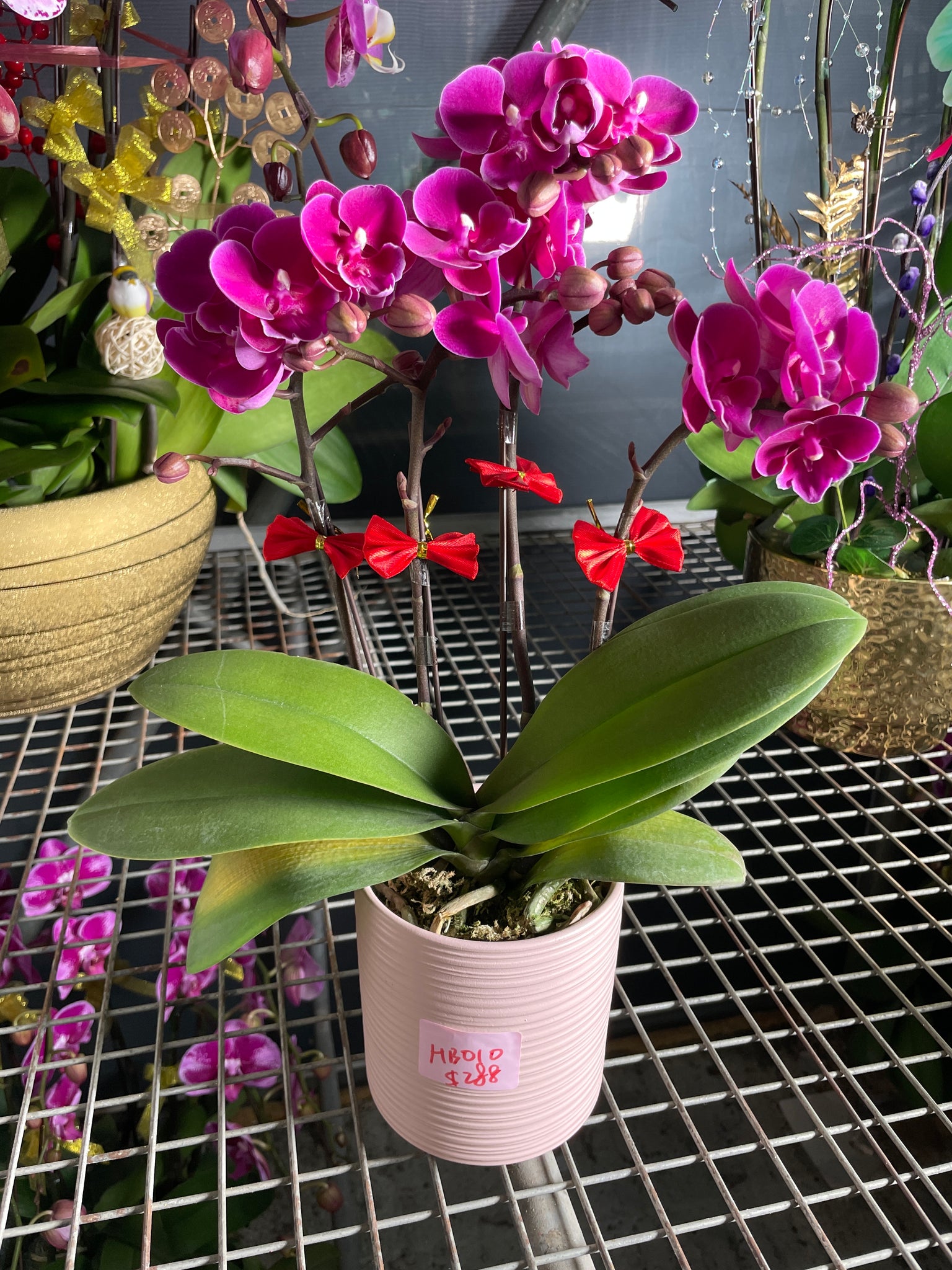 馬年賀年花【HB010】