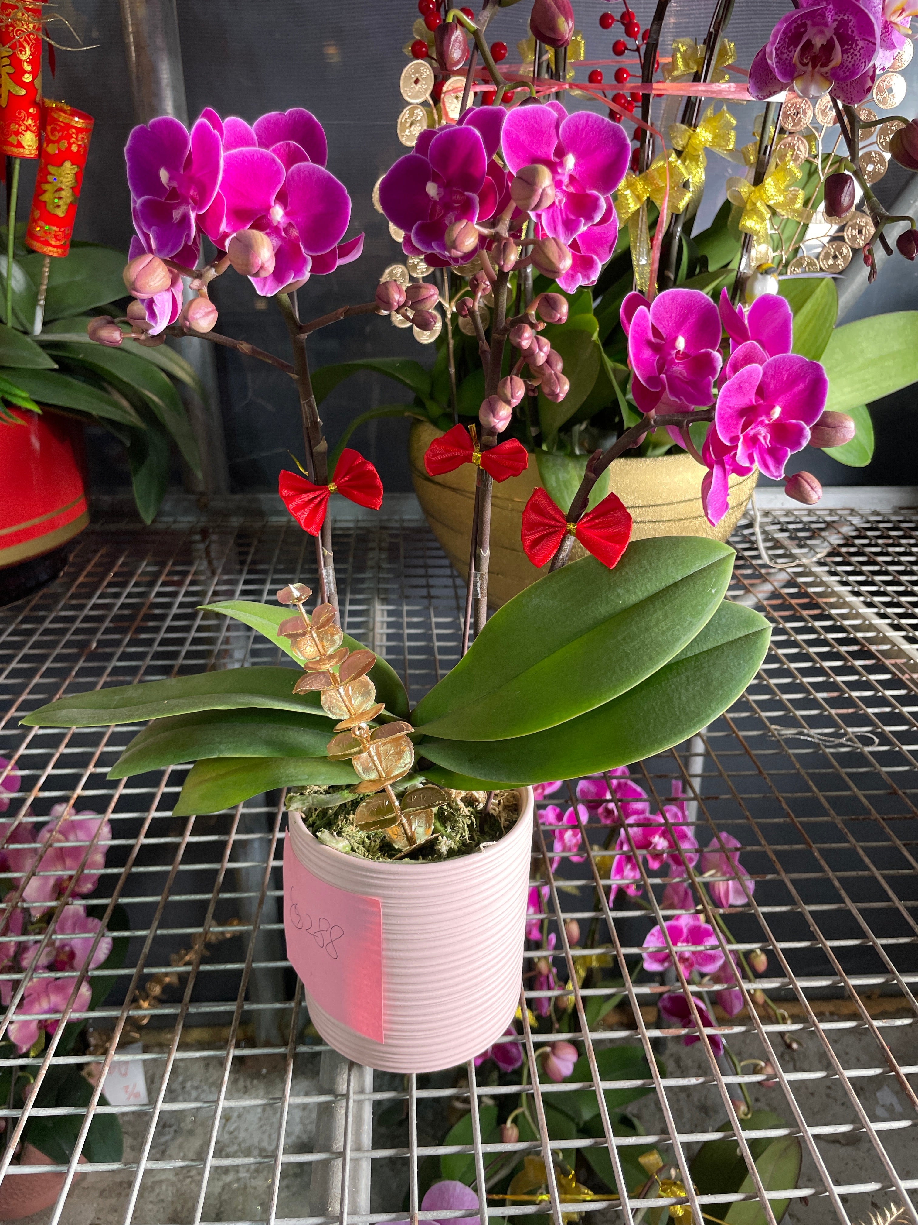 馬年賀年花【HB011】