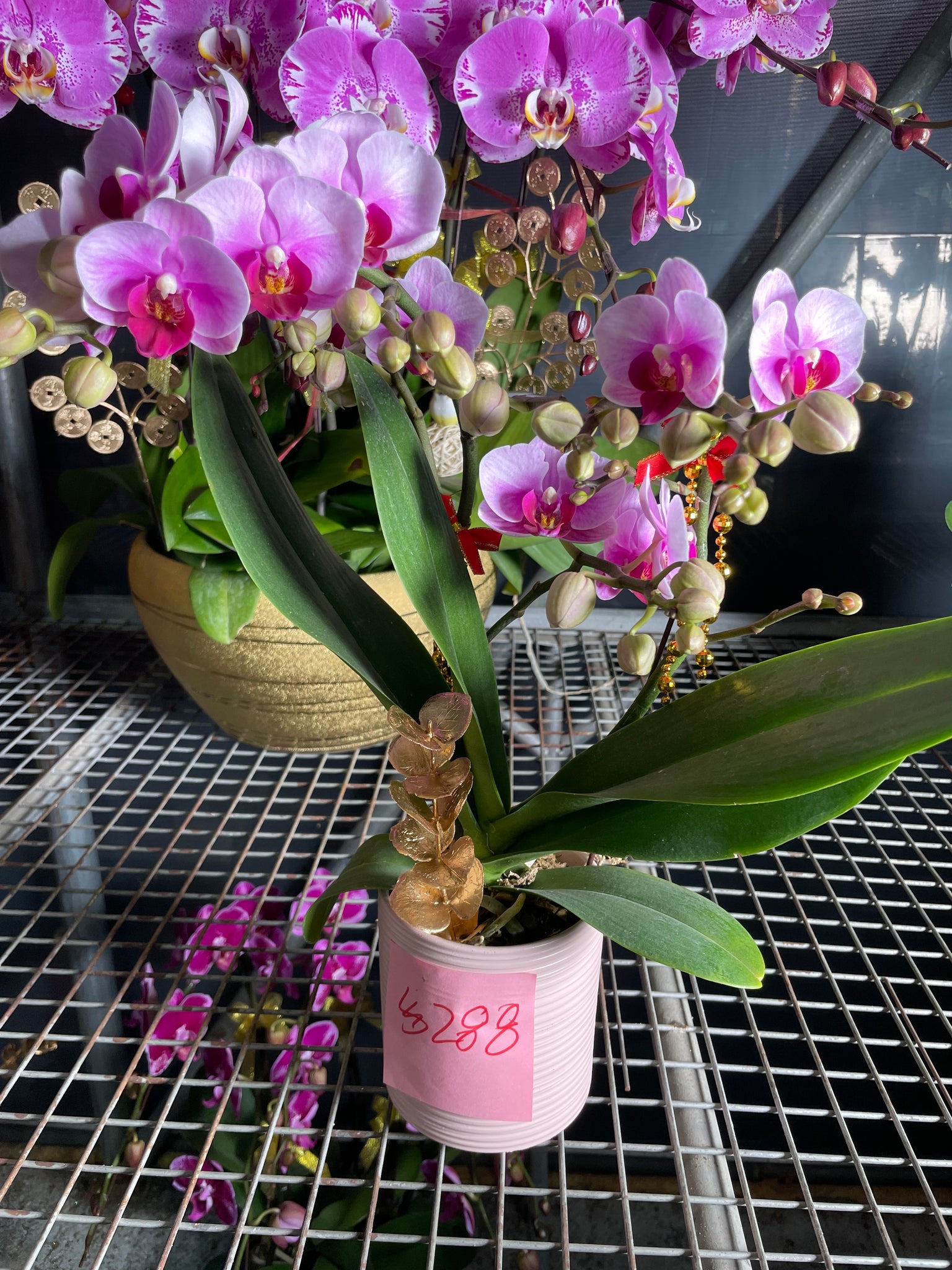 馬年賀年花【HB012】