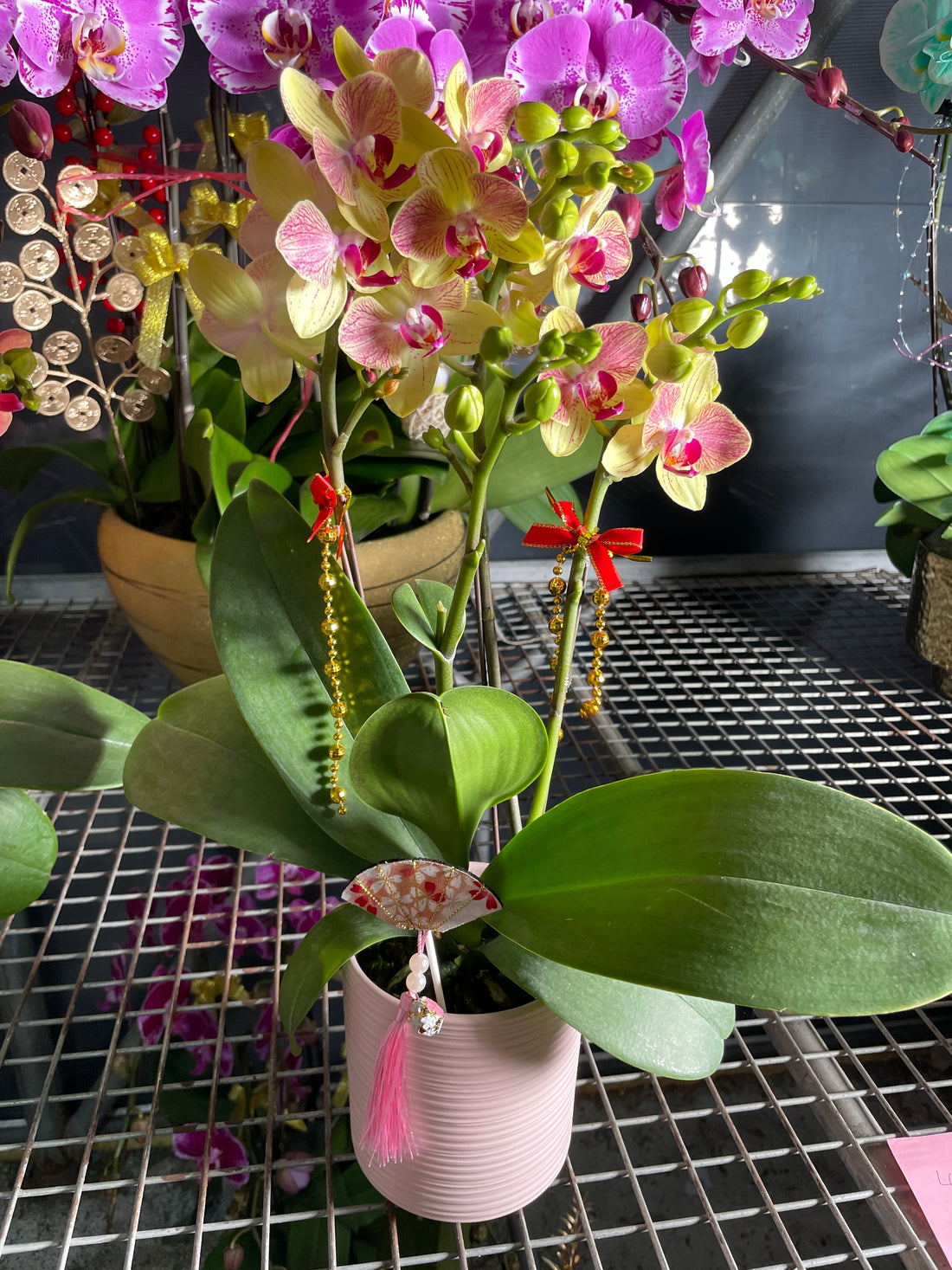 馬年賀年花【HB014】