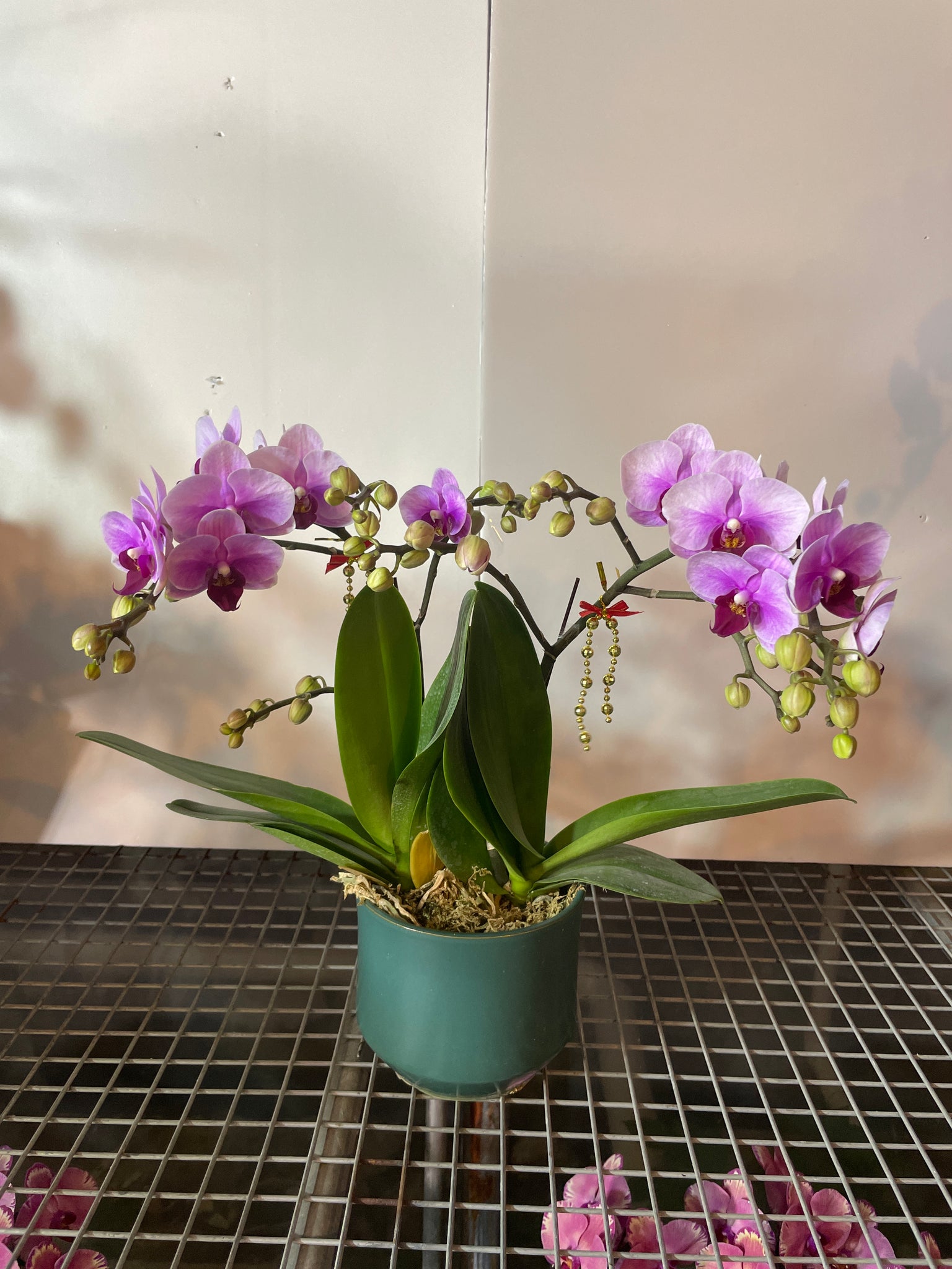 馬年賀年花【HC001】