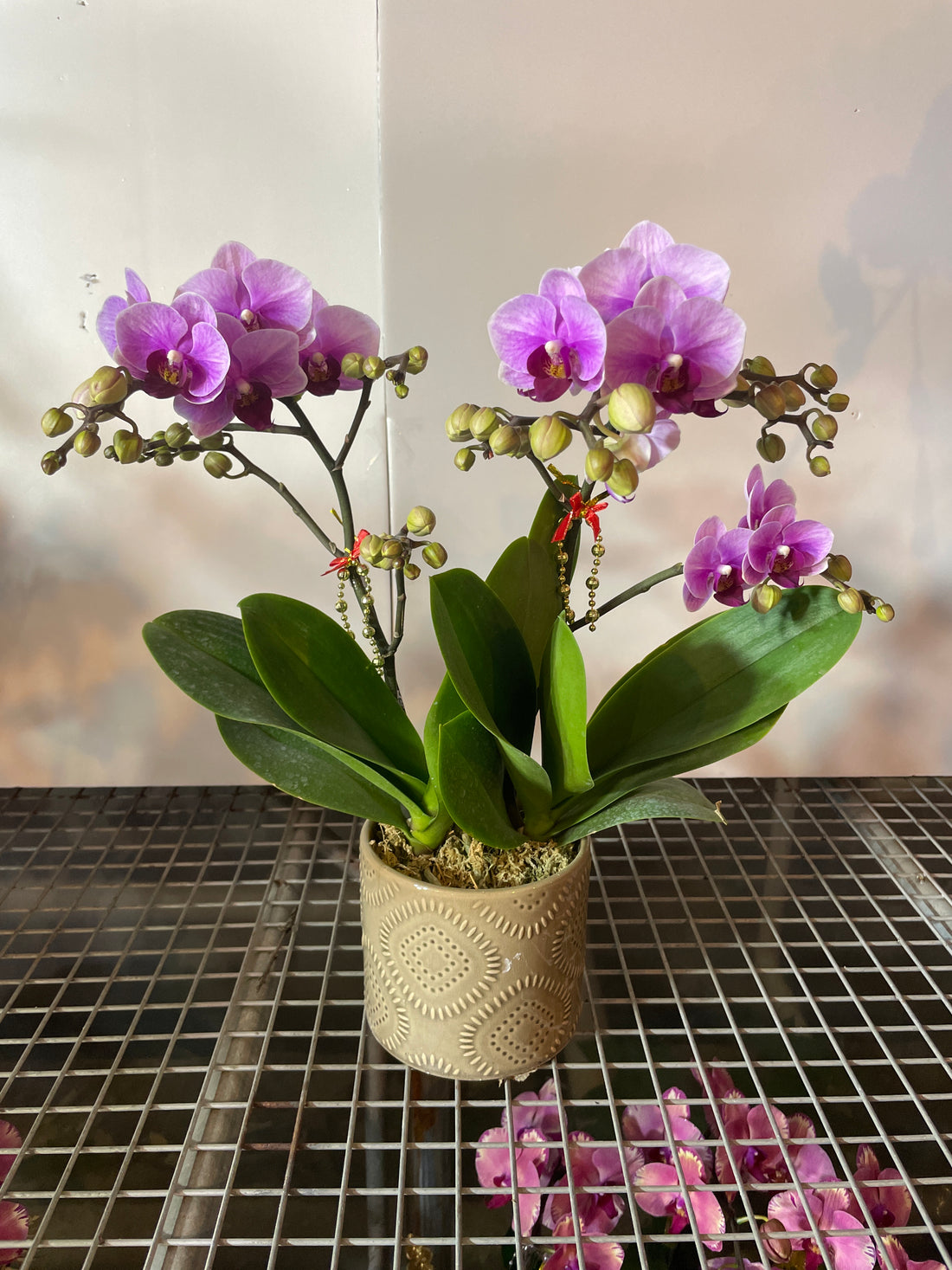 馬年賀年花【HC002】