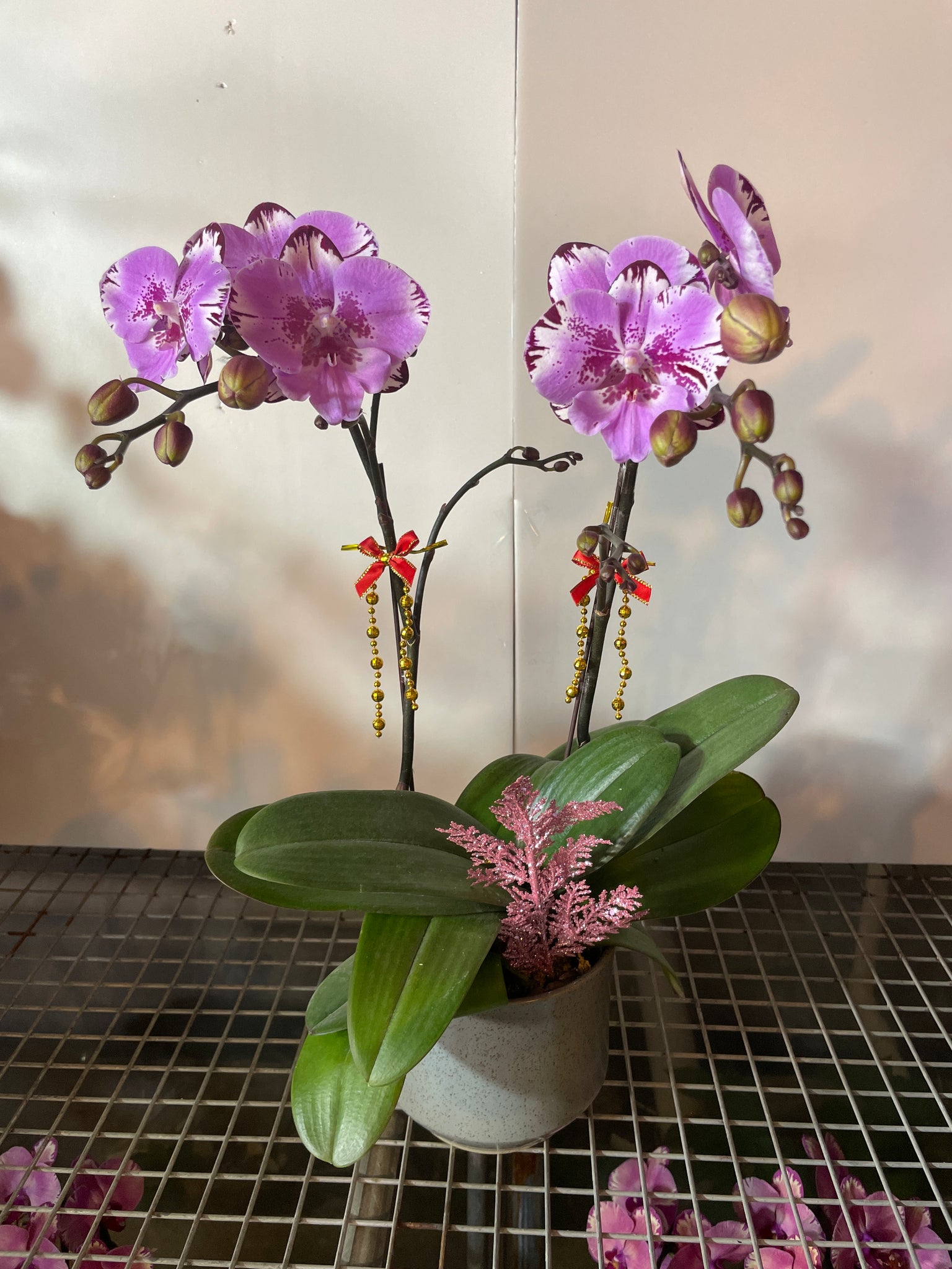 馬年賀年花【HC003】