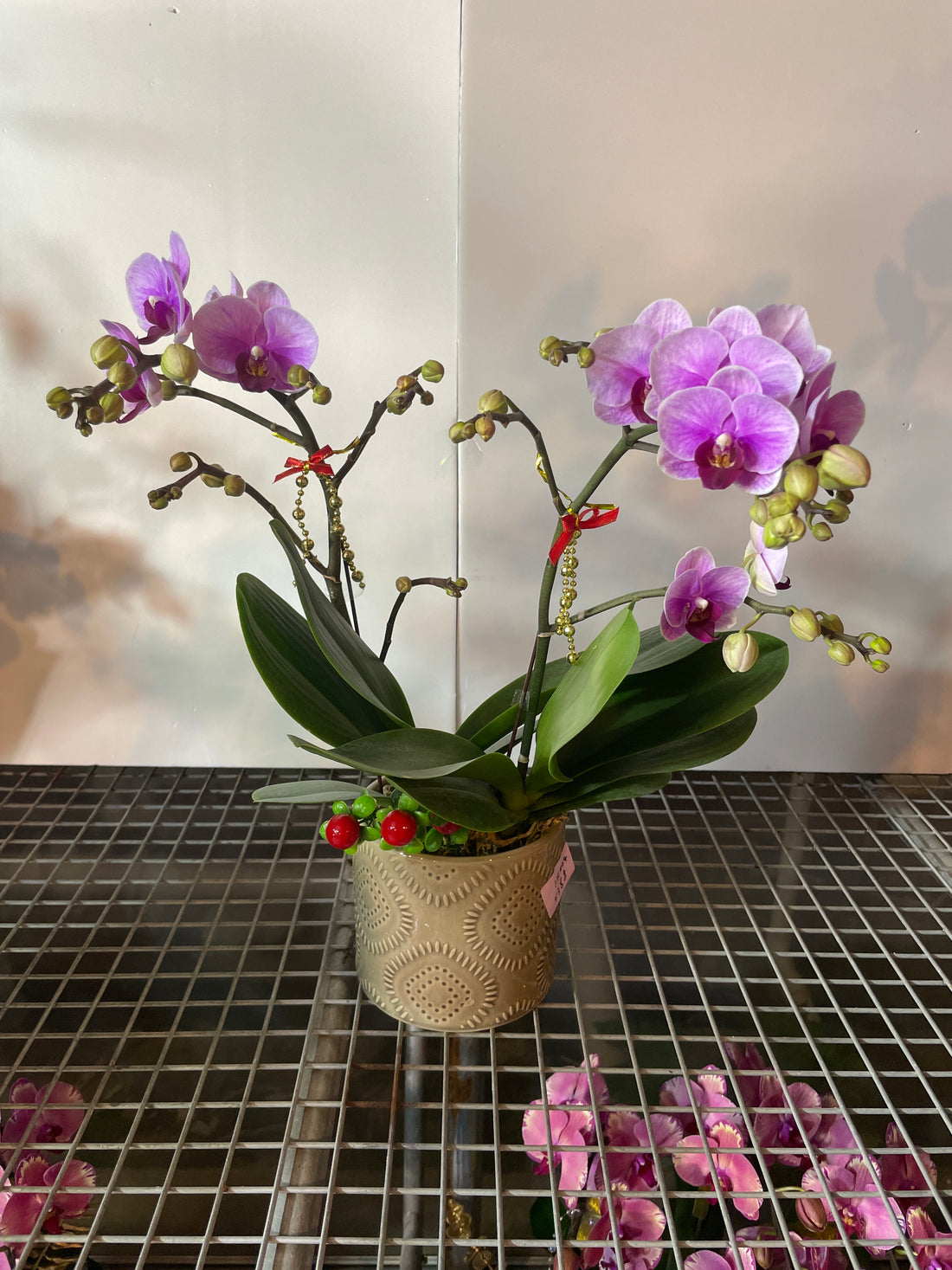 馬年賀年花【HC004】