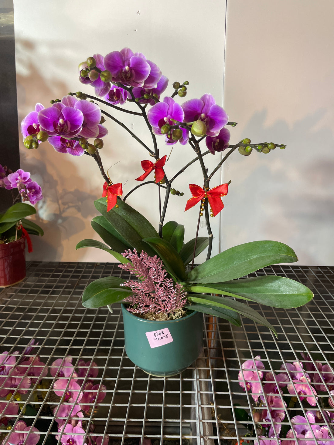 馬年賀年花【HC005】