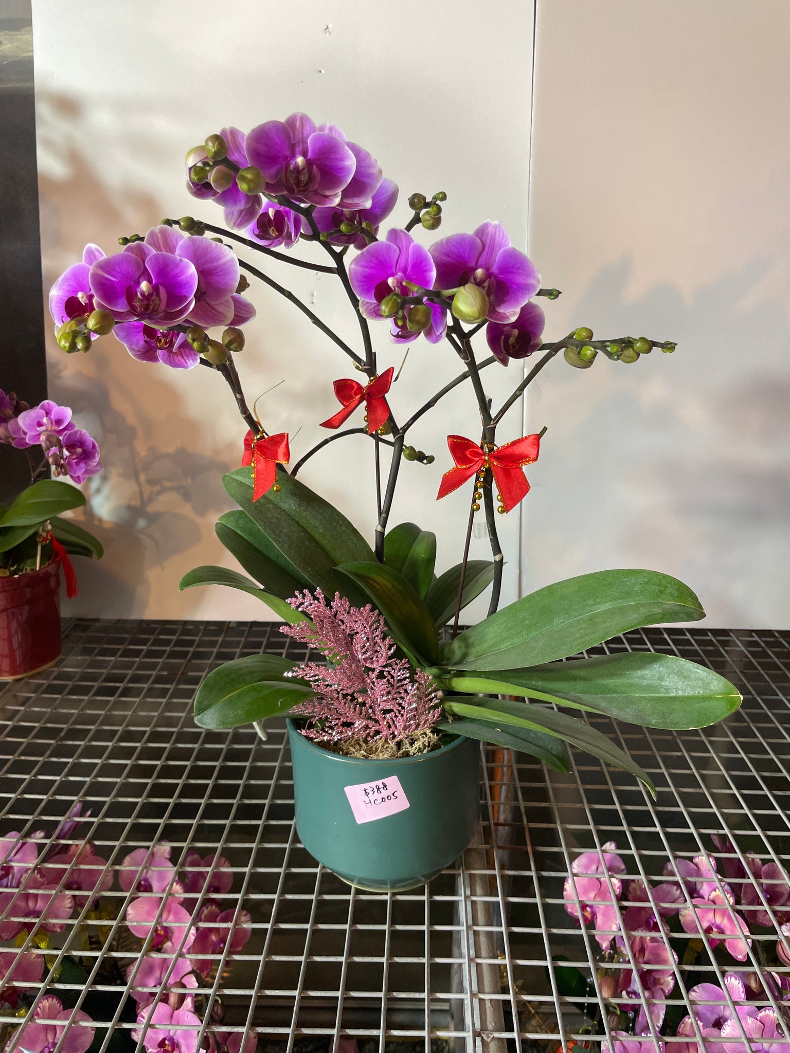 馬年賀年花【HC005】